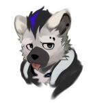  2024 anthro arknights black_hair blue_hair clothed clothing collar ear_piercing eyebrow_piercing facial_piercing fur grey_body grey_fur hair hyena hypergryph looking_at_viewer male mammal multicolored_hair piercing pizbhao solo spot_(arknights) spotted_hyena studio_montagne tongue tongue_out two_tone_hair 