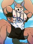  2024 abs absurd_res anthro armpit_hair athletic_wear body_hair bulge canid canine chest_hair clothed clothing fennec_fox fox green_eyes heterochromia hi_res looking_at_viewer male mammal muscular muscular_male nicofross nipples pecs red_eyes smile smiling_at_viewer smirk smirking_at_viewer solo spread_legs spreading true_fox 