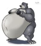  anthro baloo bear belly big_belly big_moobs black_nipples disney feet fingers grey_body hi_res huge_belly husky2paws hyper hyper_belly male mammal moobs morbidly_obese morbidly_obese_anthro morbidly_obese_male navel nipples nude nude_anthro nude_male obese obese_anthro obese_male overweight overweight_anthro overweight_male simple_background solo talespin the_jungle_book toes white_background 