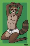  2024 2:3 anthro brown_body brown_fur clothed clothing digital_media_(artwork) fur guardians_of_the_galaxy hi_res looking_at_viewer male mammal markings marvel procyonid raccoon red_eyes ring_(marking) ringed_tail rocket_raccoon simple_background smile solo striped_markings striped_tail stripes sylo tail tail_markings underwear 