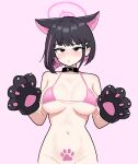  1girl alternate_costume animal_ears animal_hands belt_collar bikini bikini_top_only black_hair blue_archive blush bottomless breasts cat_ears cocktiel77 collar colored_inner_hair extra_ears gloves groin hair_ornament hairclip halo kazusa_(blue_archive) large_breasts looking_at_viewer multicolored_hair nose_blush paw_gloves paw_tattoo pink_bikini pink_hair pink_halo pubic_tattoo short_hair solo swimsuit tattoo two-tone_hair 