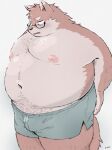  2024 anthro belly big_belly blush bulge canid canine canis clothing domestic_dog eyewear glasses hi_res kemono male mammal moobs navel nipples overweight overweight_male simple_background solo underwear uokkom 