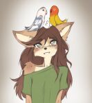  2024 absurd_res ambiguous_gender anthro avian beak bird blue_body blue_feathers breasts brown_body brown_fur brown_hair canid canine canis clothed clothing cotton_(yshanii) countershading dingo eyes_closed feathers female front_view fur group hair hi_res long_hair mammal parrot shirt simple_background sitting sitting_on_another sitting_on_head small_breasts smile teeth tinygaypirate topwear trio white_body white_feathers wings yellow_body yellow_feathers 