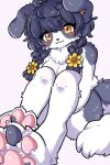 2024 4_toes accessory ahoge anthro black_hair border_collie braided_hair braided_pigtails breasts canid canine canis claws collie convenient_censorship cotorita digital_media_(artwork) domestic_dog feet female female_anthro floppy_ears flower flower_in_hair fur grey_body grey_fur hair hair_accessory herding_dog hi_res kemono koto0v0haru looking_at_viewer mammal nude pastoral_dog pawpads paws pigtails plant sheepdog solo tail toe_claws toes white_body white_fur yellow_eyes