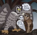 absurd_res angry avian bird brown_body brown_eyes brown_feathers claws dialogue duo english_text feathers female feral great_grey_owl grey_body grey_feathers guardians_of_ga&#039;hoole hi_res kabuki-aku male otulissa owl plant size_difference spotted_owl strix_(genus) text toe_claws tree true_owl twilight_(gogh) yellow_eyes
