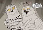 absurd_res avian barran_(gogh) bird bodily_fluids boron_(gogh) dialogue duo english_text feathers female feral guardians_of_ga&#039;hoole hi_res horned_owl kabuki-aku laugh male owl snowy_owl tears text true_owl white_body white_feathers yellow_eyes