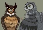 absurd_res aegolius avian bird boreal_owl brown_body brown_feathers duo feathers female feral great_horned_owl grey_body grey_feathers grimble_(gogh) guardians_of_ga&#039;hoole hi_res horned_owl kabuki-aku male owl simple_background skench_(gogh) true_owl yellow_eyes