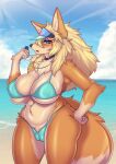  absurd_res anthro asutatinn61 beach big_breasts bikini blush breasts camel_toe canid canine canis clothed clothing female fur genitals hair hi_res looking_at_viewer mammal nintendo outside pussy seaside sky solo swimwear tail water 
