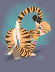  2015 4_toes absurd_res all_fours anthro anus biting_lip blue_eyes blush bonk butt cuntboy feline fur hi_res intersex looking_back mammal nude perineum plantigrade presenting pussy raised_tail rear_view solo striped_fur stripes tiger toes ty_hanson 