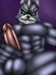  balls canine erection mammal muscular nintendo penis solo star_fox tagme thevillager video_games wolf wolf_o&#039;donnell 