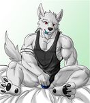  abs anthro bed bulge canine clothing condom eurobeat looking_at_viewer male mammal muscular pecs simple_background solo underwear 