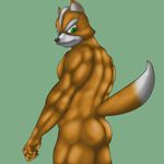  butt canine fox fox_mccloud male mammal muscular nintendo solo star_fox thevillager video_games 