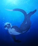  2015 anthro chesta male mammal mustelid nude otter smile solo underwater water 