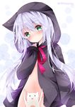  bad_id bad_pixiv_id batsubyou cat coat convenient_censoring green_eyes hat hat_with_ears hood kantai_collection long_hair long_sleeves looking_at_viewer naked_coat nanase_nao open_clothes open_coat silver_hair solo very_long_hair yayoi_(kantai_collection) 