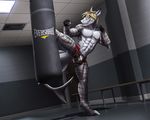  abs action_pose anthro blue_eyes bulge clothed clothing dream_and_nightmare exercise fish heavy_bag kick kickboxing male marine mixed_martial_arts muscular pecs shark skye_(shark7) solo spread_legs spreading sweat training underwear 