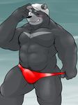  abs anthro bear blush bulge clothing colored goujuyu hat looking_at_viewer male mammal muscular pants_pull pecs simple_background solo speedo swimsuit teasing 