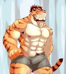  abs anthro blush boxer_briefs bulge clothing colored embarrassed erection feline male mammal muscular pants_pull pecs simple_background solo tamura_kazumasa teasing tiger underwear undressing 