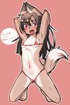  anthro bikini blush breasts brown_hair clothed clothing cub female fur hair kemono mammal navel open_mouth peruri red_eyes simple_background solo swimsuit young 
