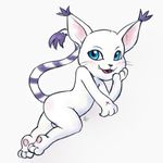  blue_eyes blush cat digimon ear_tuft feline female fur gatomon long_tail mammal nude pussy scar simple_background solo tuft white_background white_fur whusjers zekromlover 