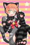  :3 animal_costume animal_ears bell cat_costume cat_ears cat_tail claws elbow_gloves fang gloves green_eyes hoshizora_rin kaki_s looking_at_viewer love_live! love_live!_school_idol_project open_mouth orange_hair paw_gloves paw_pose paws protected_link ribbon short_hair sitting solo star striped striped_background tail thighhighs 