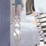  animal_genitalia animal_penis anthro balls crashairrig disney equine equine_penis faceless_male female flaccid hi_res judy_hopps lagomorph long_ears male mammal masturbation open_mouth penis purple_eyes pussy rabbit size_difference towel zebra zootopia 