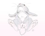  2016 digital_media_(artwork) female feral fur hindpaw lagomorph mammal oddwilds paws pussy rabbit 