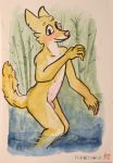  2019 anthro bamboo bamboo_tree bathing blush canid canine canis casual_nudity domestic_dog flaccid forest fur looking_at_viewer male mammal mothandpodiatrist multi_nipple nipples nude outside painting_(artwork) partially_submerged penis pink_nipples smile solo traditional_media_(artwork) tree water watercolor_(artwork) yellow_fur 