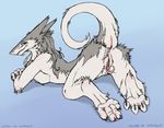  2016 all_fours anus ass_up blue_eyes blush catwolf clitoris clitoris_piercing female genital_piercing looking_at_viewer looking_back lying nude on_front piercing prehensile_clitoris pussy pussy_piercing raised_tail sergal solo 