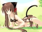  all_fours animal_ears arikawa_satoru black_bra black_panties bra brown_hair cat_ears cat_tail copyright_request hair_ribbon highres lingerie long_hair panties ponytail ribbon skinny solo tail underwear underwear_only very_long_hair wallpaper 