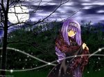  azuma_mayumi bare_tree black_dress blush cloud dress elemental_gelade field full_moon grass green_eyes long_hair long_sleeves looking_down moon night plant purple_hair reverie_metherlence solo standing tree wallpaper 