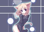  animal_ears blonde_hair blue_eyes catgirl skintight soft_beauty striped_panties tagme tail 