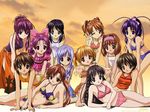  aria_(sister_princess) bikini chikage_(sister_princess) everyone floral_print frilled_bikini frills glasses haruka_(sister_princess) highres hinako_(sister_princess) kaho_(sister_princess) karen_(sister_princess) mamoru_(sister_princess) marie_(sister_princess) multiple_girls nitta_yasunari one-piece_swimsuit orange_sarong plaid plaid_bikini print_sarong rinrin_(sister_princess) sakuya_(sister_princess) sarong shirayuki_(sister_princess) sister_princess striped striped_bikini swimsuit v wallpaper yotsuba_(sister_princess) 