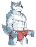  angry canine clothing fur grey_fur mammal royalsobatya teeth_bared underwear wolf 