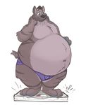  ! 2016 3_toes anthro belly big_belly black_hair black_nose blue_eyes briefs chunkychips clothing digital_media_(artwork) ear_piercing front_view fur grey_fur hair hi_res hyena hyper hyper_belly male mammal mongrel-mika navel obese overweight overweight_male piercing short_tail simple_background solo striped_hyena stripes toes underwear white_background 