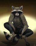  2016 clothed clothing crouching emptyset fluffy looking_at_viewer male mammal raccoon realistic reven_(character) solo spread_legs spreading topless 