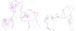  anthro boop canine clothed clothing disney duo expressions eyes_closed female fox hi_res honey_(zootopia) honey_badger love male mammal model_sheet monochrome multiple_scenes mustelid nick_wilde nose_boop portrait romantic_couple sharp_teeth smile teeth unknown_artist zootopia 