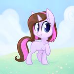  2016 absurd_res ambiguous_gender blue_eyes brown_hair cloud cub cute equine fan_character feral field flower fur hair hi_res hollulu horn horse inner_ear_fluff mammal multicolored_hair my_little_pony outside pink_hair plant pony purple_fur raised_leg sky smile unicorn young 