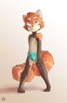  absurd_res anthro blush briefs bulge clothed clothing embarrassed front_view hi_res hybridstaar looking_at_viewer male mammal red_panda signature solo standing topless underwear young 