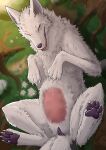 2_tails 8_breasts anatomically_correct anatomically_correct_genitalia anatomically_correct_pussy animal_genitalia animal_pussy bare_breasts breasts canid canine canine_genitalia canine_pussy canis claws exposed_breasts eyes_closed female female_feral feral forest fur fur_tuft genitals ghibli hi_res lying mammal moro-no-kimi multi_breast multi_tail on_back pankallisti pawpads paws plant pregnant pregnant_female princess_mononoke purple_nose purple_pawpads pussy simple_background solo tail teeth_showing tree tuft white_body white_fur wolf