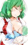  asutora baby breast_feeding breasts closed_eyes collarbone green_hair highres kazami_yuuka large_breasts mother_and_child motherly open_clothes open_shirt shirt smile touhou upper_body 