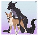  2016 all_fours anthro anthro_on_feral bestiality bull_terrier canine dog doggystyle dragon female feral from_behind_position fur hybernation male male/female mammal nipples sex simple_background tongue tongue_out 