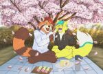 absurd_res ailurid anthro cherry_blossom dango_(food) domestic_cat duo felid feline felis female flower hi_res japan love male mammal naoto park picnic plant prunus_(flower) red_panda romantic romantic_couple sunset