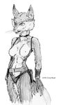  1993 belt canine doug_winger female fox mammal solo 