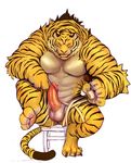  anthro balls erection feline iceman1984 male mammal muscular penis solo tiger 
