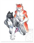  2016 akita akita_inu animal_genitalia animal_penis anthro balls black_fur brown_eyes canine canine_penis claws dog duo erection from_behind_position fur grey_fur imminent_sex kneeling knot male male/male mammal nipples orange_fur penis red_fur sex simple_background spartadog tongue watermark white_fur 