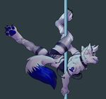  anthro bra canine clothed clothing collar crossdressing dancing fangs grey_background looking_at_viewer male mammal pole pole_dancing servojob simple_background skimpy smile solo teeth thighs_highs tongue tongue_out underwear wardrobe_malfunction 