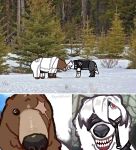 bear belt_on_mouth belt_on_tail ben_bigger black_tie_(suit) canid canine canis clothed clothed_feral clothing duo eye_patch eye_scar eyewear facial_scar feral ferlized forest forest_background hair hi_res humor jacket male mammal mihoyo nature nature_background photo_background photography_(artwork) plant red_eyes renshiivun scar signature suit teeth topwear tree von_lycaon white_hair wolf zenless_zone_zero