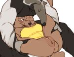 absurd_res anteater anthro ayannzer butt canid canine canis clothing clothing_aside cunnilingus domestic_dog duo female genitals hi_res leotard leotard_aside licking male male/female mammal oral pilosan pinned poodle pussy sex spread_legs spreading tongue vaginal xenarthran