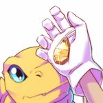  agumon blue_eyes commentary_request crest digimon fang gloves hawe_king looking_up lowres out_of_frame partial_commentary pov pov_hands simple_background sparkle tag white_background white_gloves yagami_taichi 