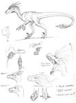  ambiguous_gender claws dinosaur english_text excited feathers growling king_kong_(copyright) nippon&#039;s_kongy-goodness open_mouth pencil_(artwork) raptor sketch solo stripes teeth text theropod tongue traditional_media_(artwork) 